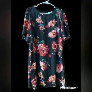 Anthropologie Everly Dress